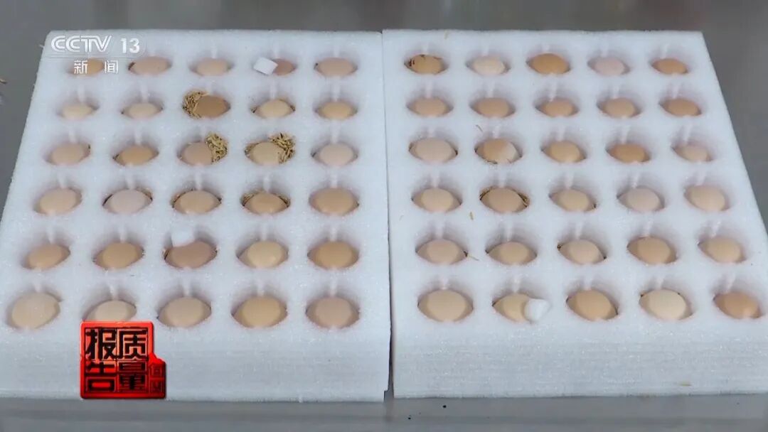 近期针对30种标有不同名词的鸡蛋进行了比较试验，鸡蛋到底怎么选？专家：按需选择