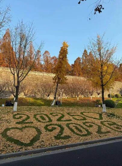 “工作没有磨灭浪漫”，南京环卫工人将落叶扫成打卡点，网友：这是他给秋天的一封信