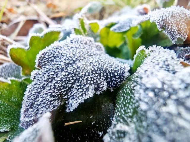 两轮冷空气已在路上！山东将迎大风雨雪天气，10市局部大雪