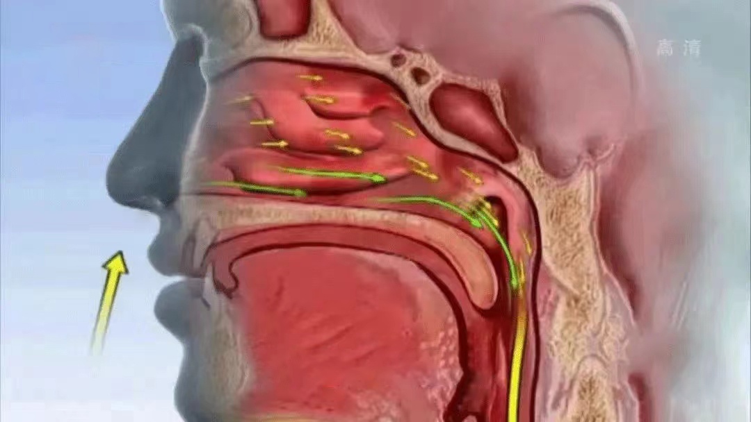 冬季心脏有4怕，个个都可能致命！