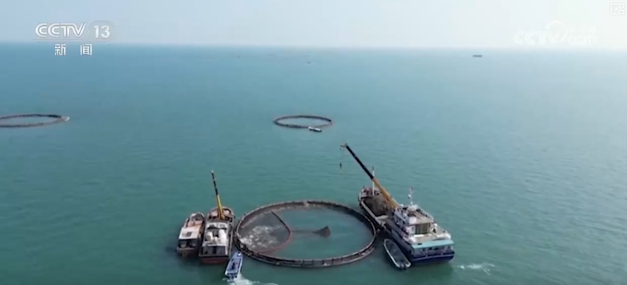 海洋场景开放从“点”到“面”多点开花 海洋产业成为彰显我国国际竞争力重要领域