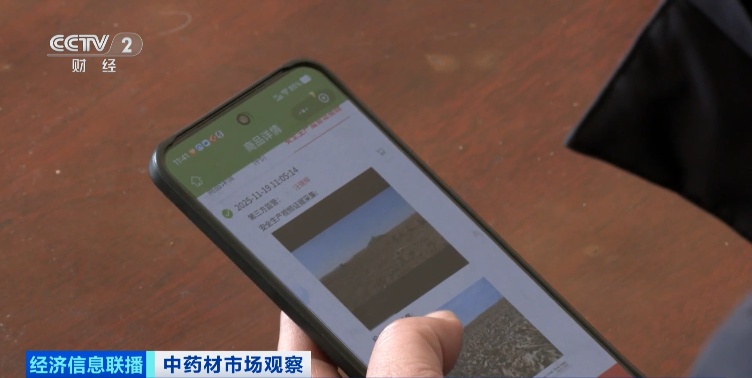 这些中药材还没采摘就被订购一空！