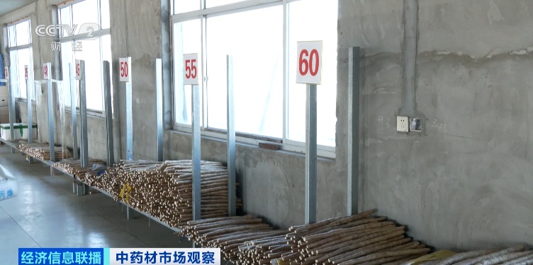 这些中药材还没采摘就被订购一空！