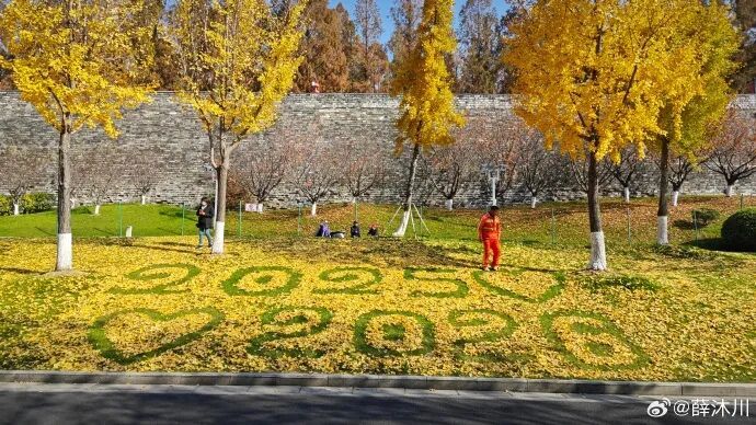 “工作没有磨灭浪漫”，南京环卫工人将落叶扫成打卡点，网友：这是他给秋天的一封信