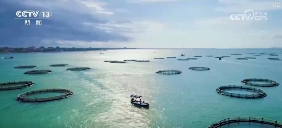 海洋场景开放从“点”到“面”多点开花 海洋产业成为彰显我国国际竞争力重要领域