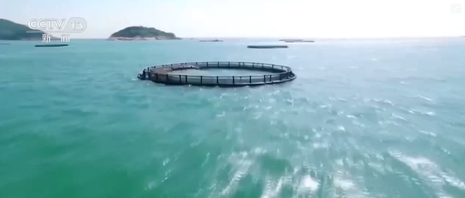 海洋场景开放从“点”到“面”多点开花 海洋产业成为彰显我国国际竞争力重要领域