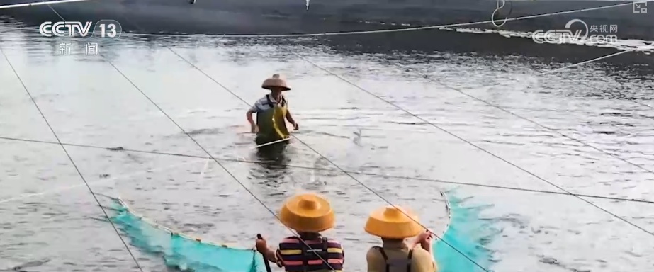 海洋场景开放从“点”到“面”多点开花 海洋产业成为彰显我国国际竞争力重要领域