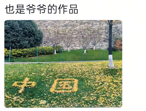 “工作没有磨灭浪漫”，南京环卫工人将落叶扫成打卡点，网友：这是他给秋天的一封信