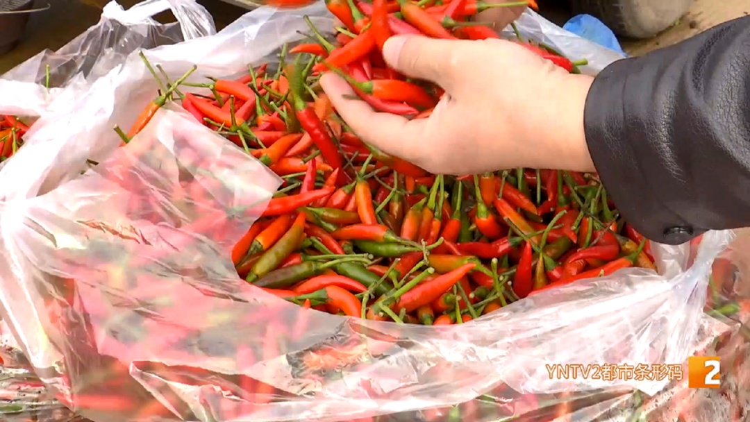 涨了！每公斤批发价20元以上！云南人餐桌上不可少……