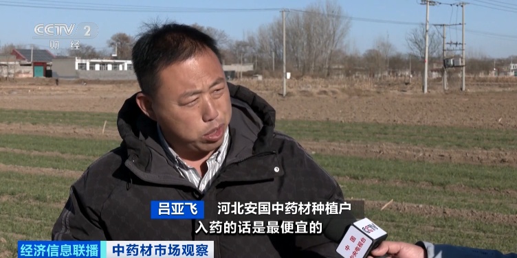 还没采摘，就被订购一空！