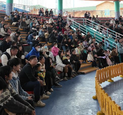 武汉一动物园上演疯狂动物城,海狮凭“发癫”舞姿火出圈 武汉一动物园上演疯狂动物城,海狮凭“发癫”舞姿火出圈