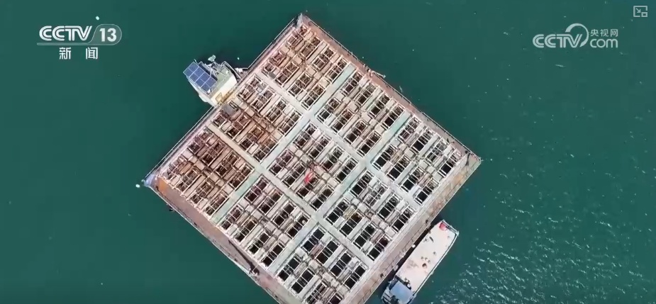 海洋场景开放从“点”到“面”多点开花 海洋产业成为彰显我国国际竞争力重要领域