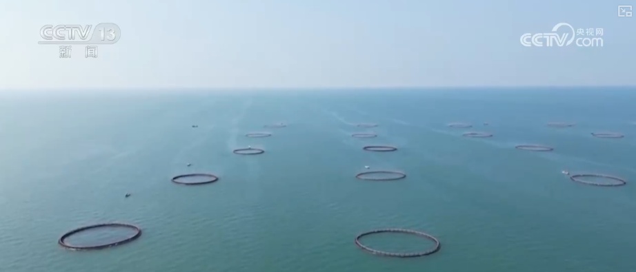 海洋场景开放从“点”到“面”多点开花 海洋产业成为彰显我国国际竞争力重要领域