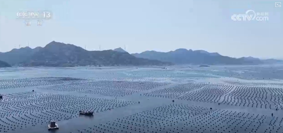 海洋场景开放从“点”到“面”多点开花 海洋产业成为彰显我国国际竞争力重要领域