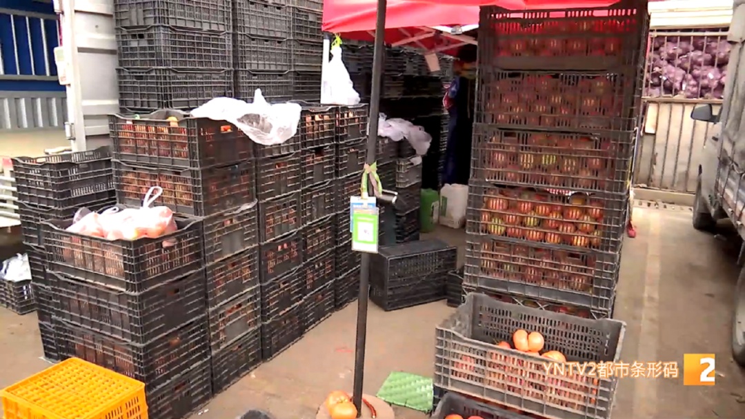 涨了！每公斤批发价20元以上！云南人餐桌上不可少……