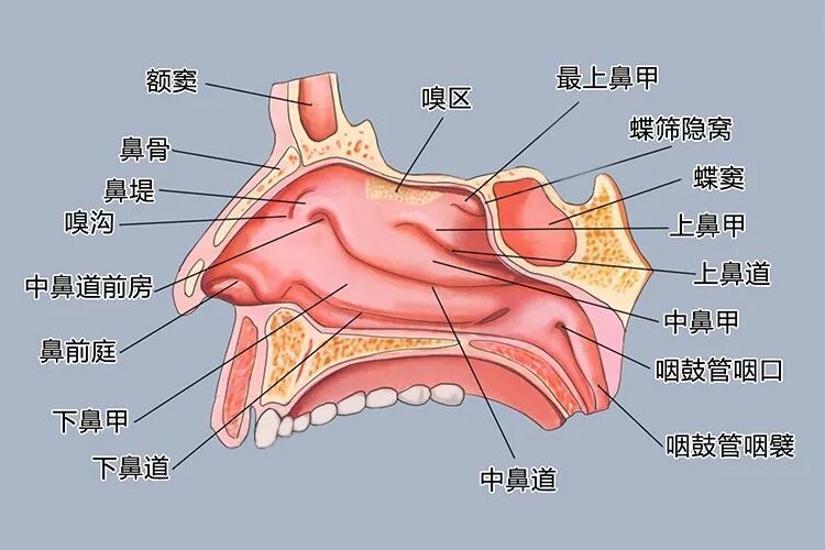 小心这种疾病!别只怪干燥上火 小心这种疾病!别只怪干燥上火