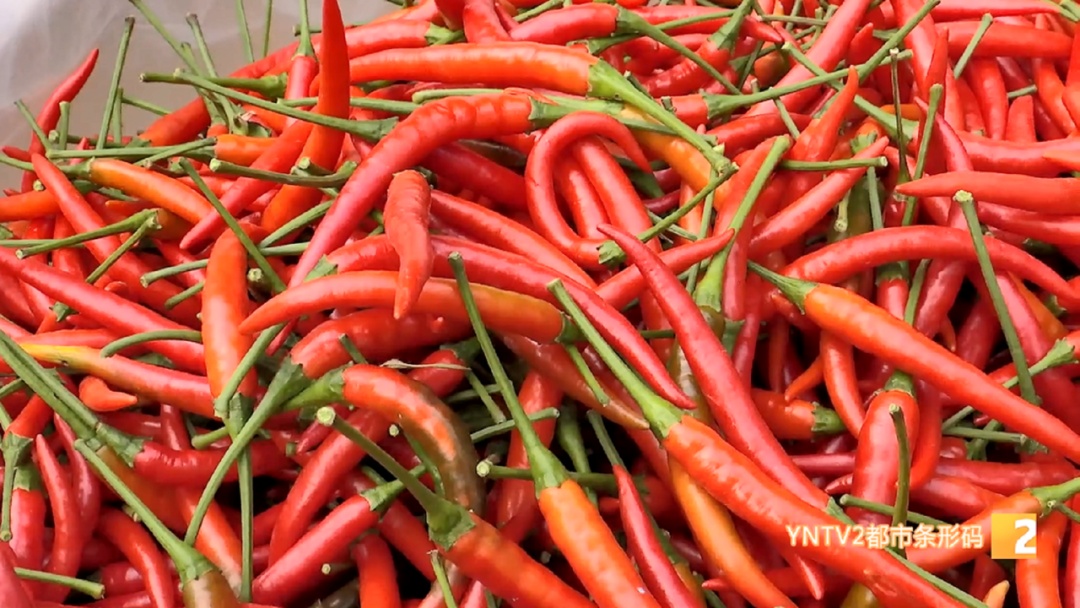 涨了！每公斤批发价20元以上！云南人餐桌上不可少……