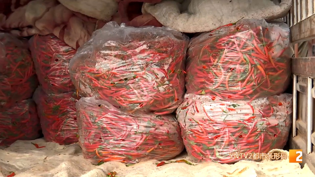 涨了！每公斤批发价20元以上！云南人餐桌上不可少……