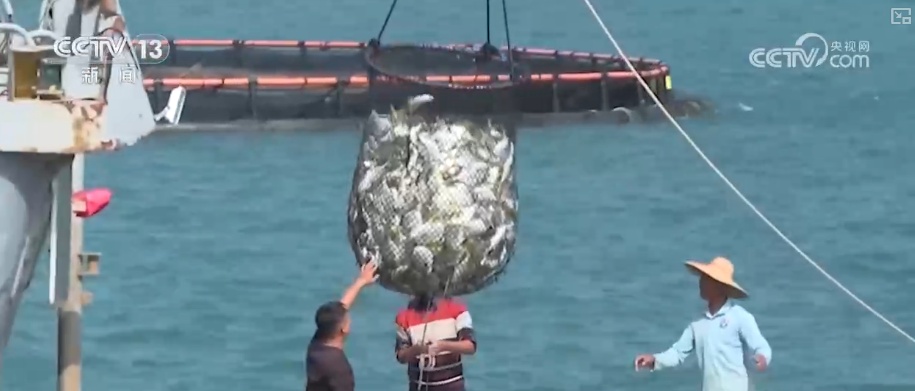 海洋场景开放从“点”到“面”多点开花 海洋产业成为彰显我国国际竞争力重要领域