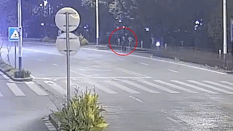 多警种联动,战斗力爆表!三小时破案追赃! 多警种联动,战斗力爆表!三小时破案追赃!