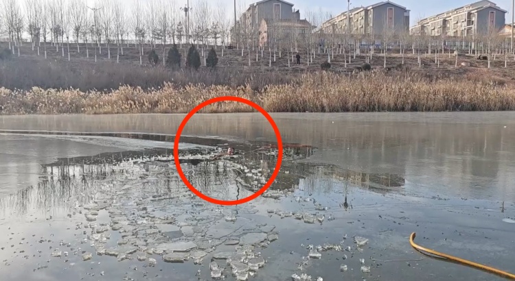 “我身体轻，我下去救！”13岁女孩冰窟救男童后默默离开