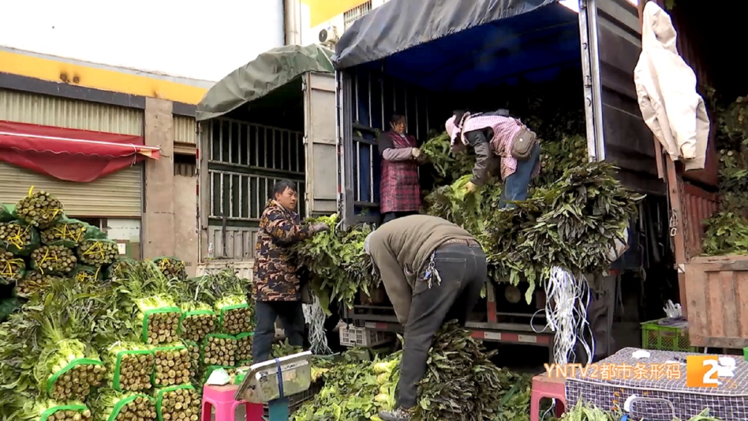 涨了！每公斤批发价20元以上！云南人餐桌上不可少……