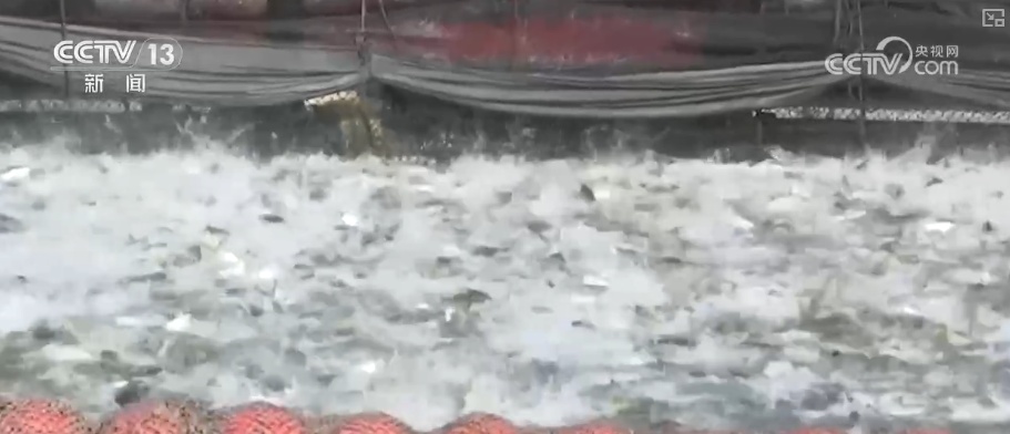 海洋场景开放从“点”到“面”多点开花 海洋产业成为彰显我国国际竞争力重要领域