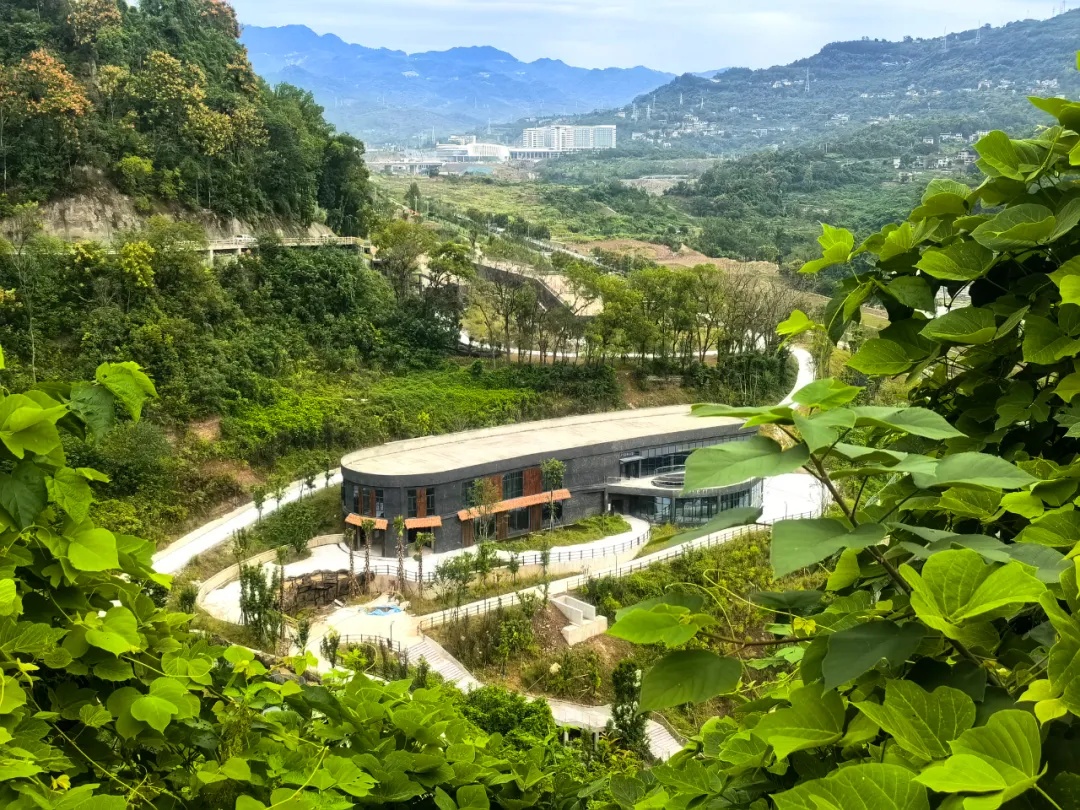 重庆一座新动物园即将投用，预计引进动物5000余只