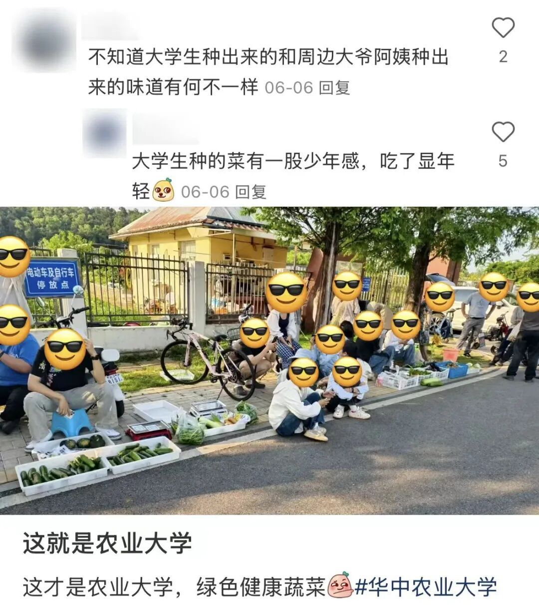 从实验室到菜篮子,农大集市走红:让科技沾着烟火气落地 从实验室到菜篮子,农大集市走红:让科技沾着烟火气落地