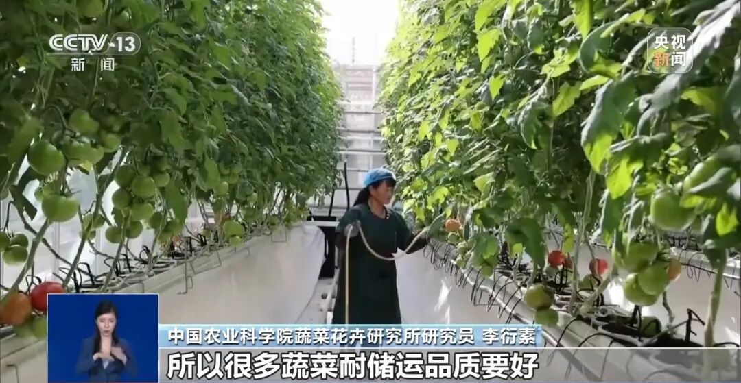 “反季节蔬菜没营养还不安全”，是真的吗？