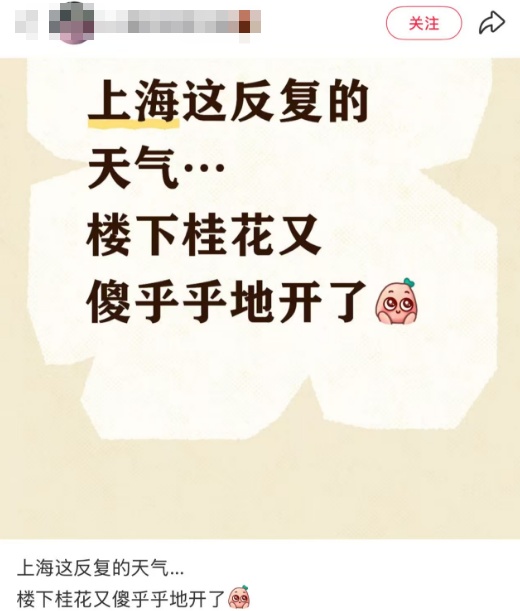 上海人惊了！目前除崇明岛，全市一片红！有网友拍到"地震云"？专家回应了