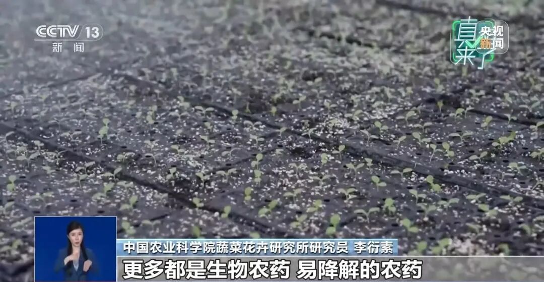 “反季节蔬菜没营养还不安全”，是真的吗？