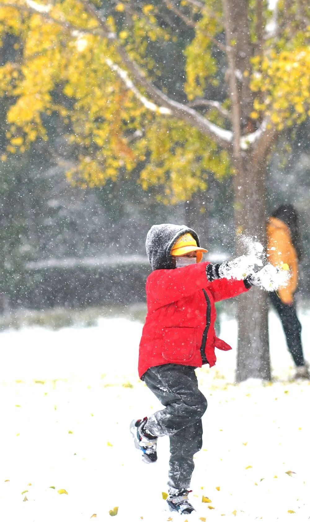 北京大部可达中雪，山区局地暴雪