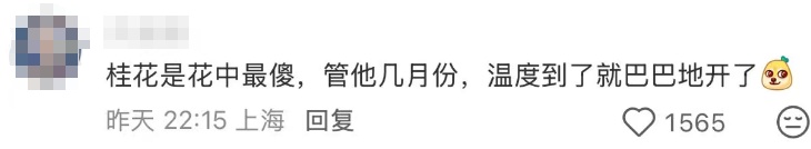 上海人惊了！目前除崇明岛，全市一片红！有网友拍到"地震云"？专家回应了