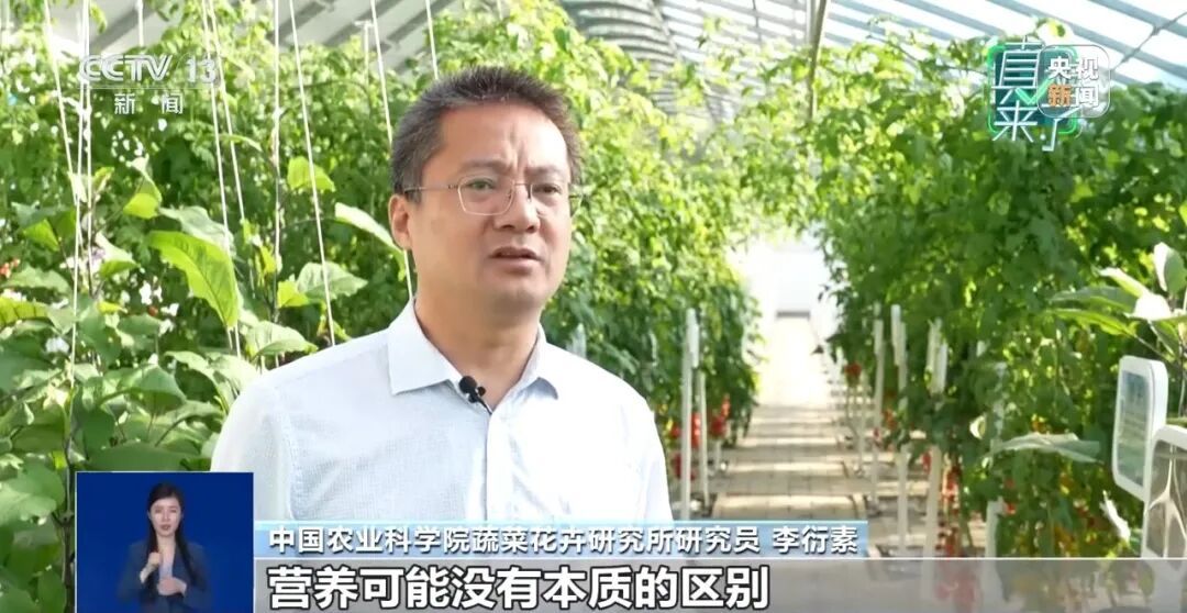 “反季节蔬菜没营养还不安全”，是真的吗？