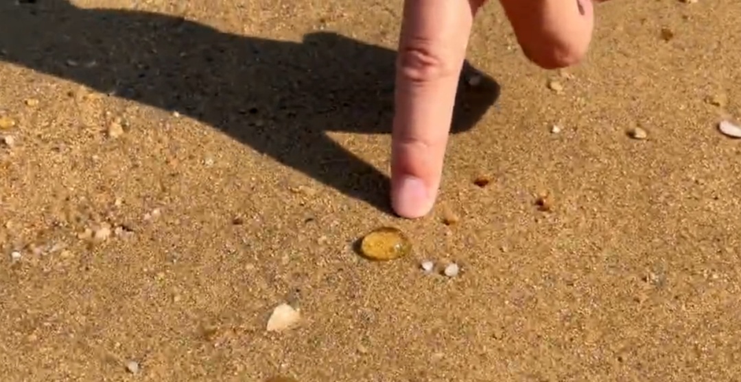 形似“爆爆珠”，不要碰！可能带病菌！广东这些地方已出现