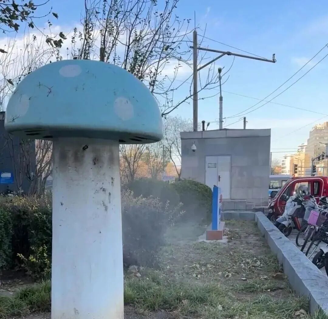 北京街头的“绿色蘑菇”，究竟是干什么的？