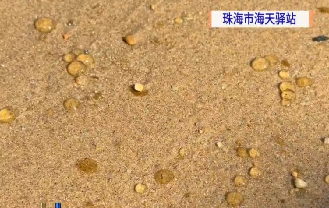 形似“爆爆珠”，不要碰！可能带病菌！广东这些地方已出现