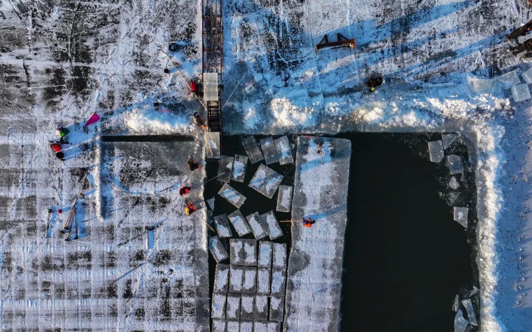 松花江采冰全面启动!第二十七届哈尔滨冰雪大世界园区建设已完成70% 松花江采冰全面启动!第二十七届哈尔滨冰雪大世界园区建设已完成70%