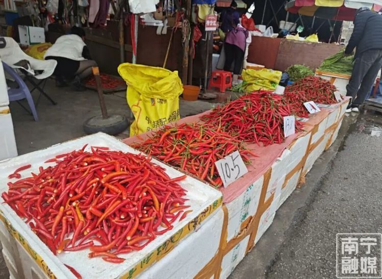 “辣椒炒肉”变“肉炒辣椒”话题刷爆！业内人士：不必囤积，对生活影响不大