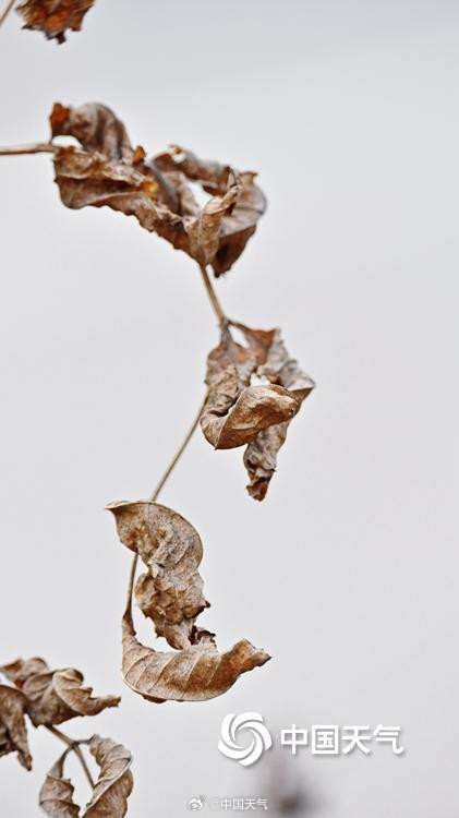 北方冬野的低调美学 草木枯荣自带烟熏色