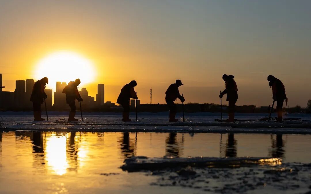 松花江采冰全面启动!第二十七届哈尔滨冰雪大世界园区建设已完成70% 松花江采冰全面启动!第二十七届哈尔滨冰雪大世界园区建设已完成70%
