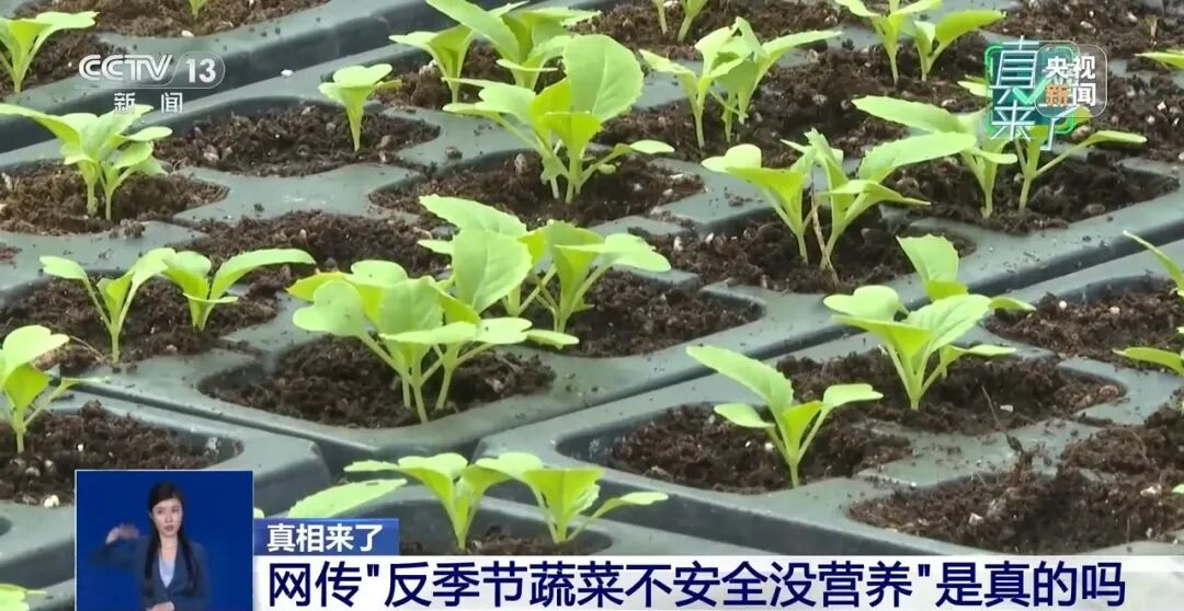 “反季节蔬菜没营养还不安全”，是真的吗？