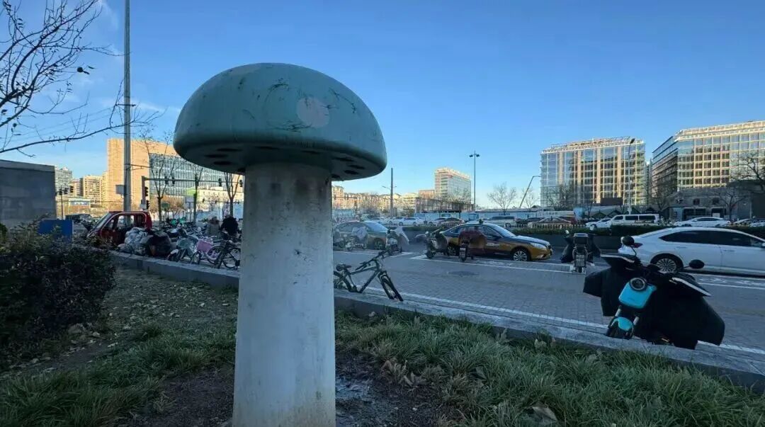 北京街头的“绿色蘑菇”，究竟是干什么的？