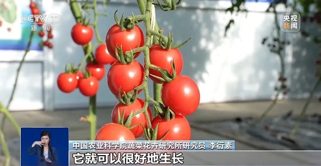 “反季节蔬菜没营养还不安全”，是真的吗？