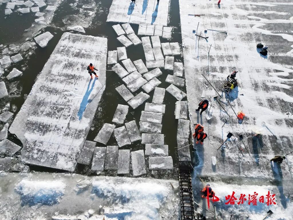 寒江“冰田”：零下20℃江面，采冰人匠心筑梦