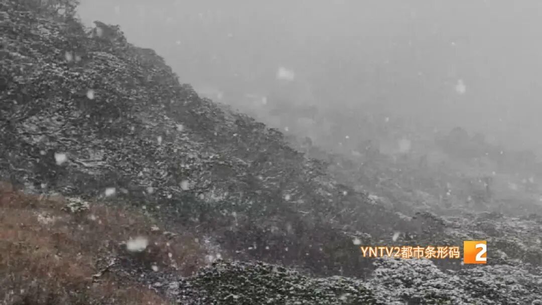 冷冷冷！局地直降12℃，雨雪猛扑，云南即将迎来大降温