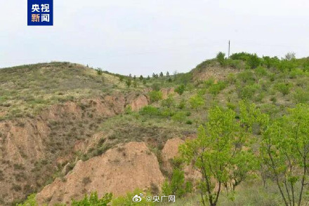 考古发现一段约13千米秦直道遗迹 考古发现一段约13千米秦直道遗迹