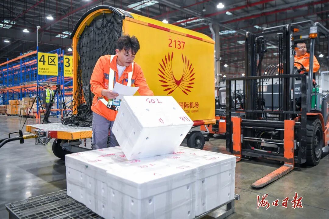 海口美兰机场口岸首票鲜活海鲜通关