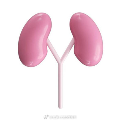 保护肾脏的4个生活习惯